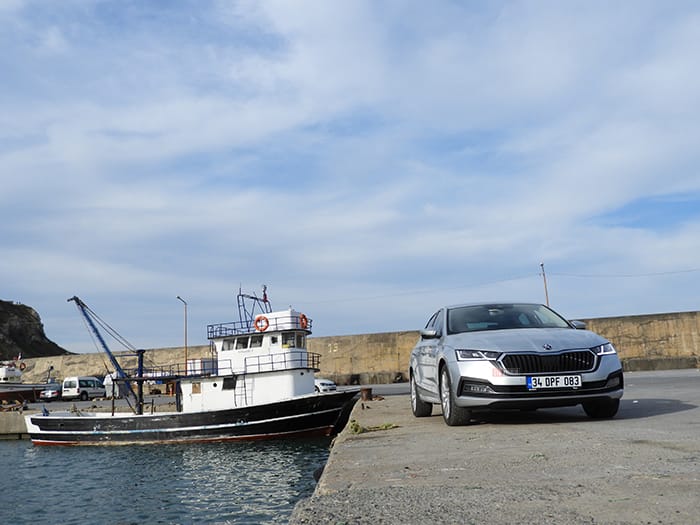 Skoda Octavia sahilde