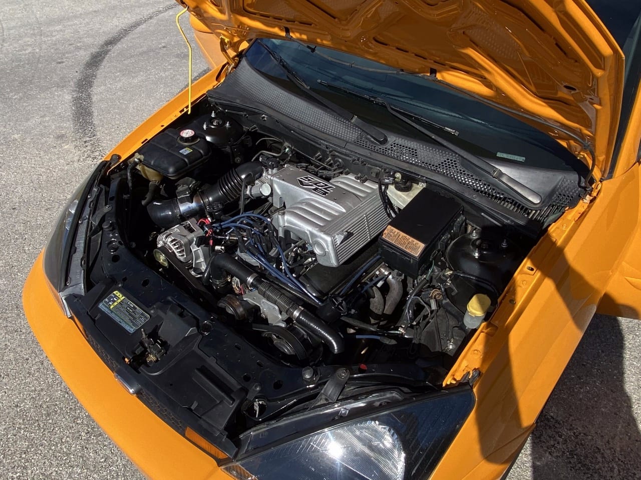 focus v8 motor